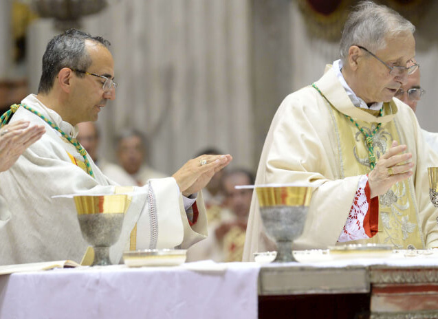 Ordinazione in cattedrale a Brescia