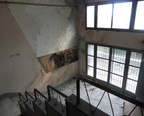 cinema Borno