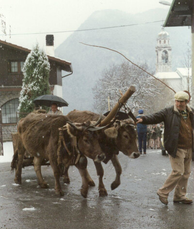 S. Antonio ossimo