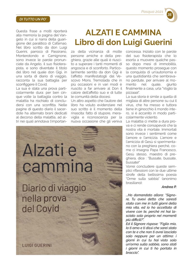 Alzati e cammina Libro di don Luigi Guerini