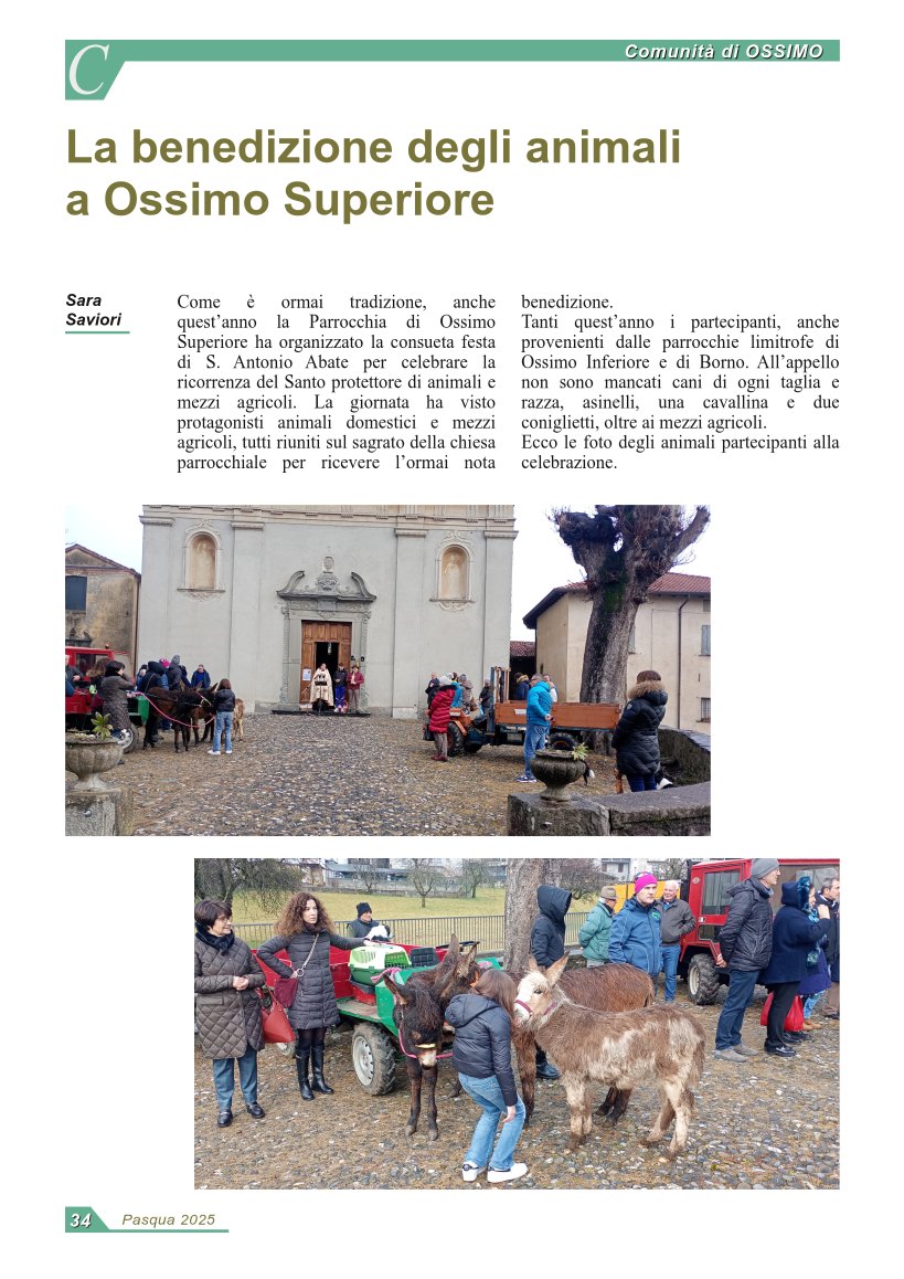 La benedizione degli animali 